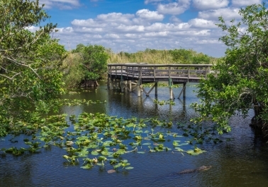 Outdoor Adventures Await: Embrace Nature in Miami’s Northern Parks Image