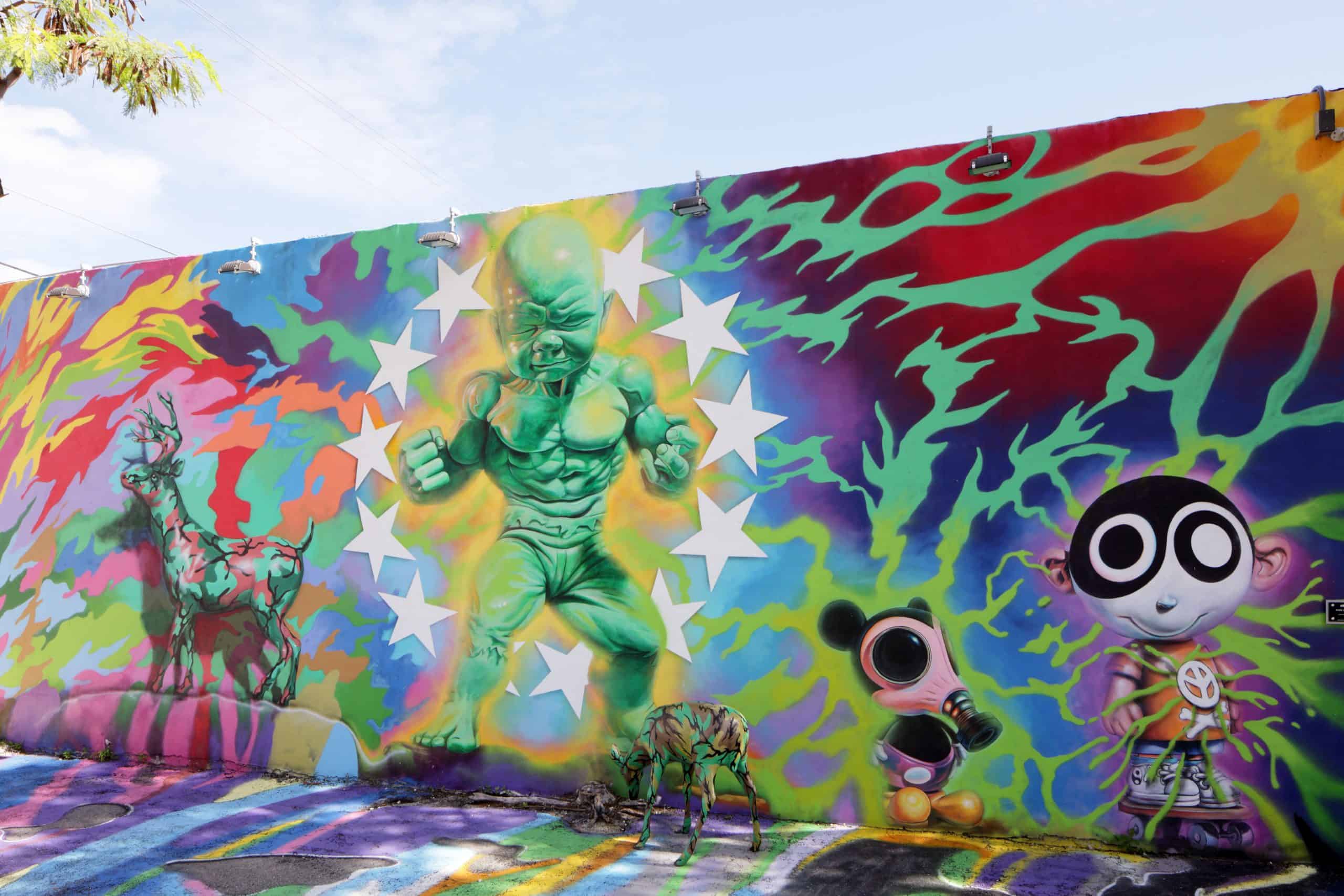 Exploring Miami’s Artistic Haven: A Guide to Wynwood’s Vibrant Street Art Scene Image